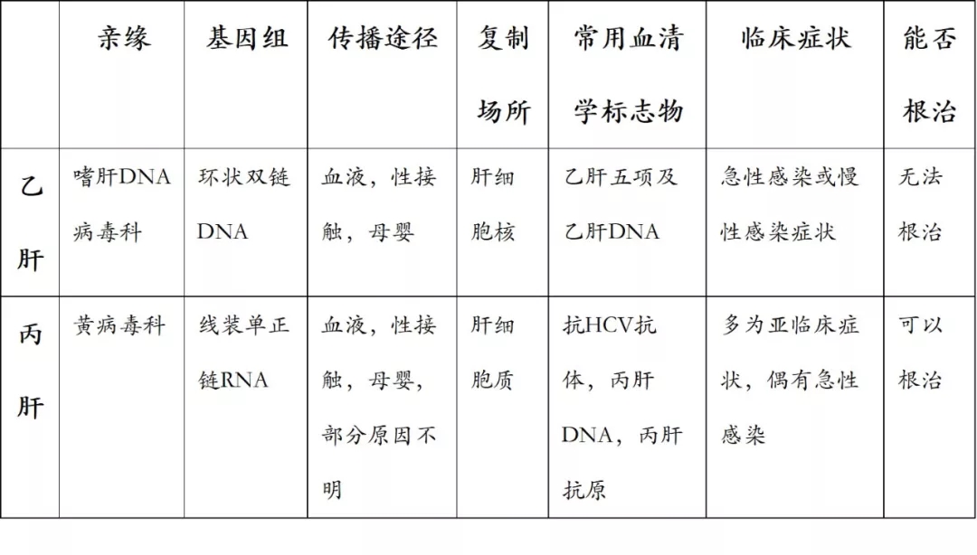 丙肝與乙肝相差不止一個(gè)字